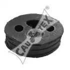 cautex-010755