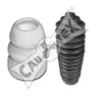 cautex-081084