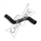 cautex-186040
