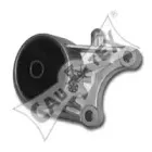 cautex-480480