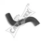 cautex-186031