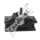 cautex-010905