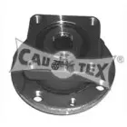 cautex-461002