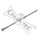 cautex-461095