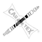 cautex-080075