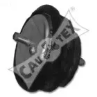 cautex-200940
