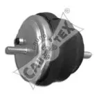 cautex-200941