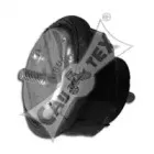 cautex-200937