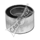 cautex-201007