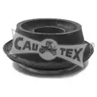cautex-460108
