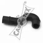cautex-466009