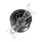 cautex-480905