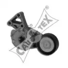 cautex-460984