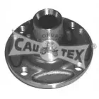 cautex-461016