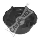 cautex-461274