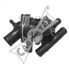 cautex-952141