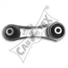 cautex-020488
