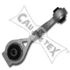 cautex-020438