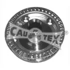 cautex-461005