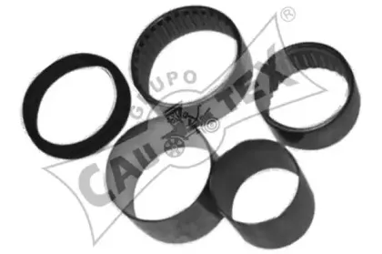 cautex-021355