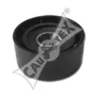 cautex-021241