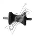 cautex-021089