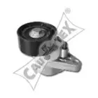 cautex-021239