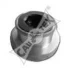 cautex-021248