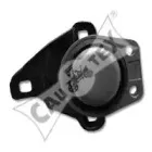 cautex-081010