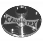 cautex-461017