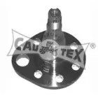 cautex-461009