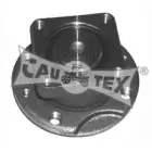 cautex-461011