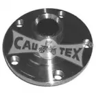 cautex-461018