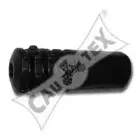 cautex-061015