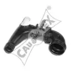 cautex-011408