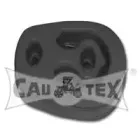 cautex-080604
