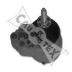 cautex-080225