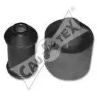 cautex-081008