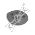 cautex-080610