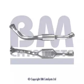 bmcatalysts-bm80079