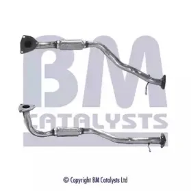 bmcatalysts-bm70165