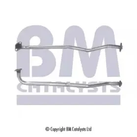 bmcatalysts-bm70234