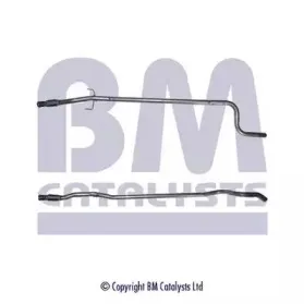 bmcatalysts-bm50113