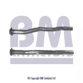 bmcatalysts-bm50124