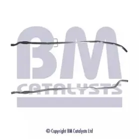 bmcatalysts-bm50163
