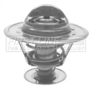 firstline-fts24082