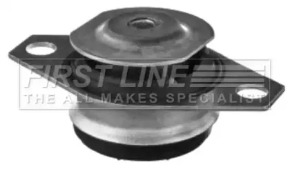 firstline-fem4021
