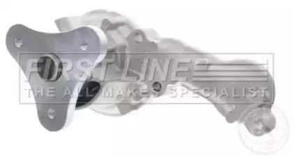 firstline-fwp2117