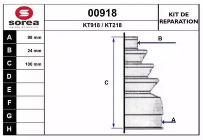 snra-00918