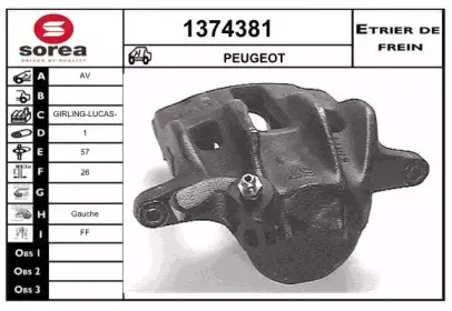 snra-1374381